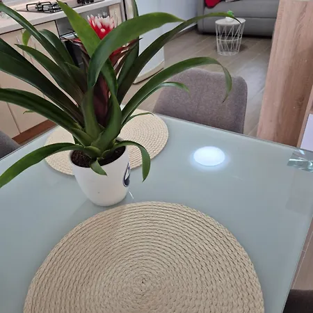 Apartamento Duje *